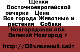 Щенки Восточноевропейской овчарки › Цена ­ 25 000 - Все города Животные и растения » Собаки   . Новгородская обл.,Великий Новгород г.